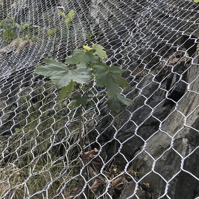 Galvanisierte Legierte Gebreitete Gabion-Sechseckenkörbe für Geogrid-Stützungen