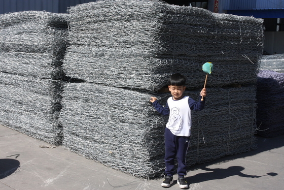 2.2mm Stahldraht PVC beschichtet Galfan Gabion Basket mit individueller Beschichtung Farbe