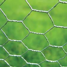 Galvanisierte hexagonale Geflügeldrahtnetze für Hühnerställe