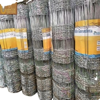 Galvanisiertes Sechseckdrahtnetz aus Stahl für Geflügel-Hühnerkäfig