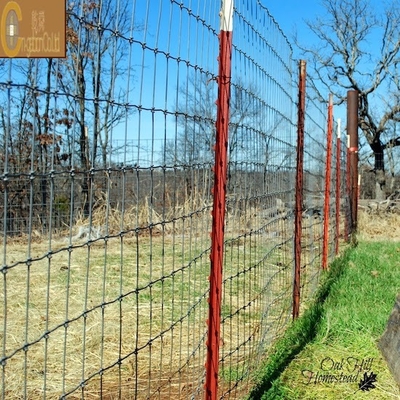 Galvanisiertes Sechseckdrahtnetz aus Stahl für Geflügel-Hühnerkäfig