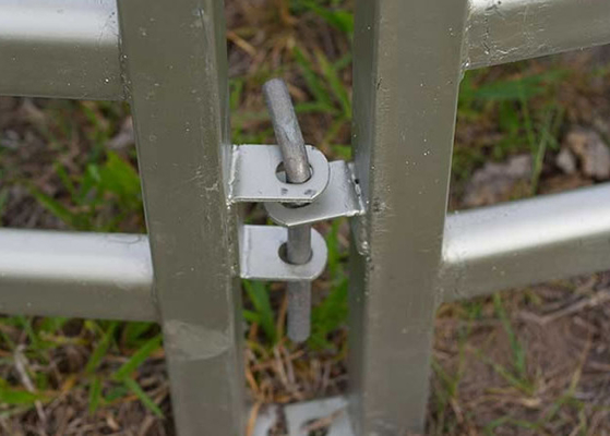 Galvanisiertes Stahlnetz für den Zaun