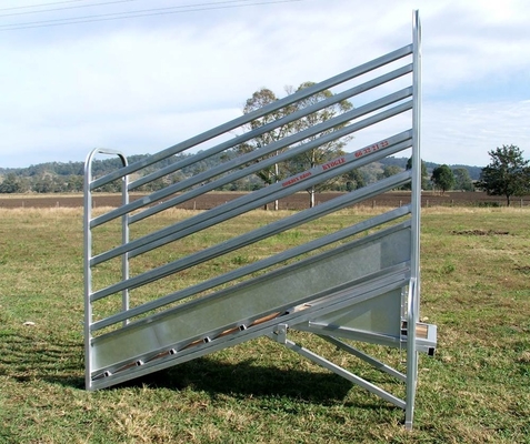 Galvanisiertes Stahlnetz für den Zaun